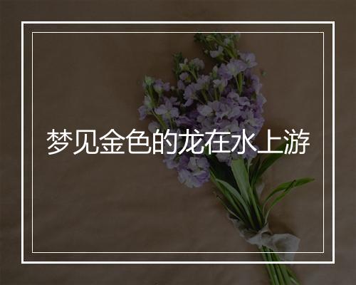 梦见金色的龙在水上游