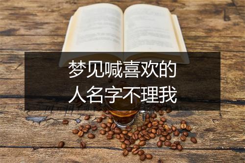 梦见喊喜欢的人名字不理我