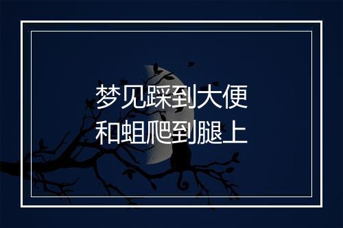 梦见踩到大便和蛆爬到腿上