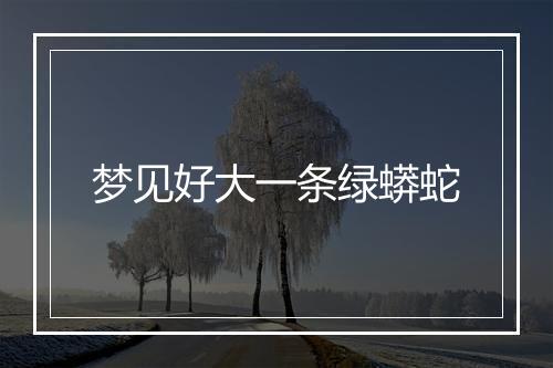 梦见好大一条绿蟒蛇