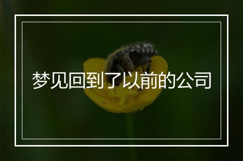 梦见回到了以前的公司