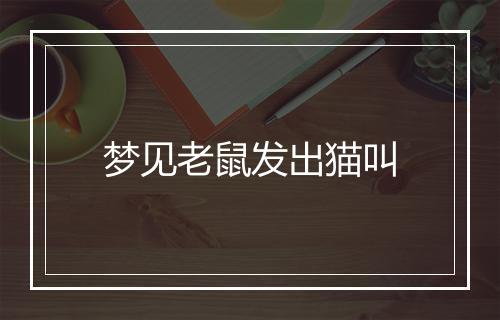 梦见老鼠发出猫叫