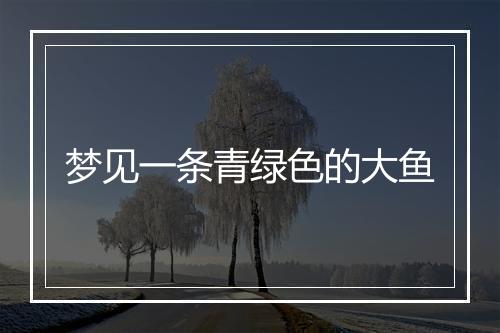 梦见一条青绿色的大鱼