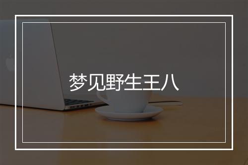 梦见野生王八