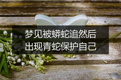 梦见被蟒蛇追然后出现青蛇保护自己