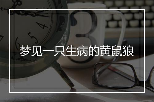 梦见一只生病的黄鼠狼