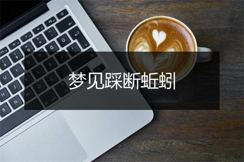 梦见踩断蚯蚓