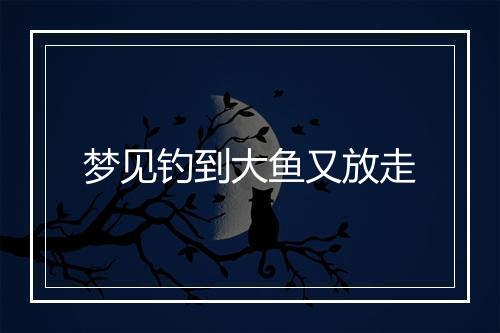 梦见钓到大鱼又放走