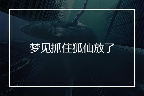 梦见抓住狐仙放了