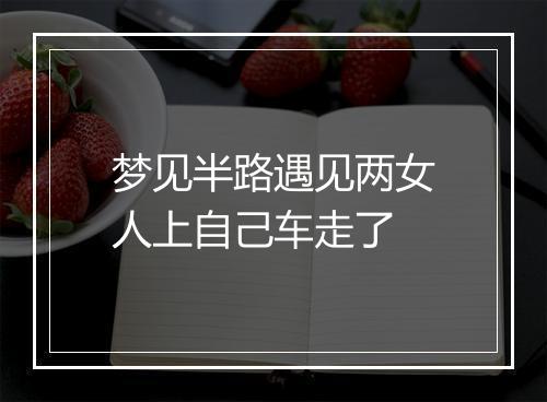 梦见半路遇见两女人上自己车走了