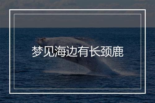 梦见海边有长颈鹿