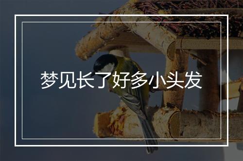 梦见长了好多小头发