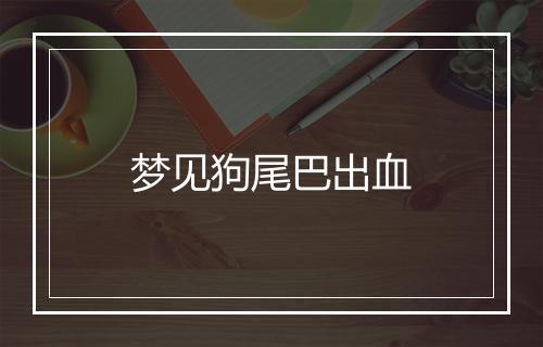 梦见狗尾巴出血