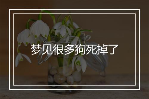 梦见很多狗死掉了