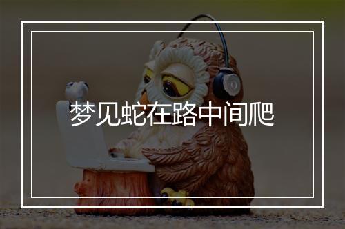 梦见蛇在路中间爬