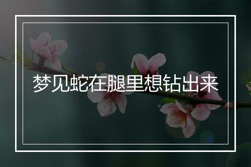 梦见蛇在腿里想钻出来