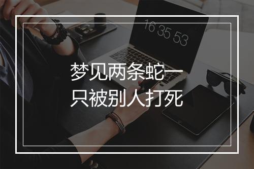 梦见两条蛇一只被别人打死