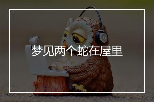 梦见两个蛇在屋里