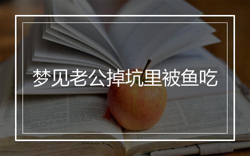 梦见老公掉坑里被鱼吃