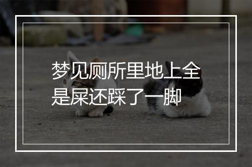 梦见厕所里地上全是屎还踩了一脚