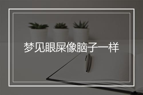 梦见眼屎像脑子一样