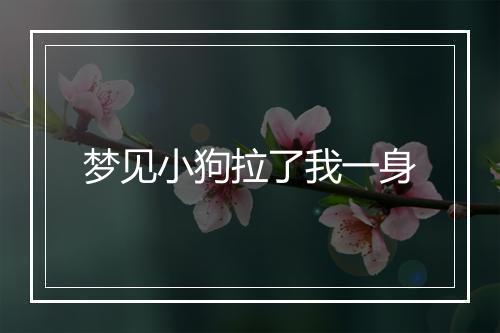 梦见小狗拉了我一身