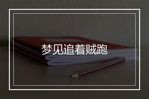 梦见追着贼跑