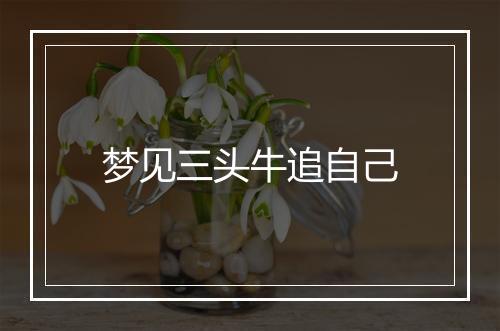 梦见三头牛追自己