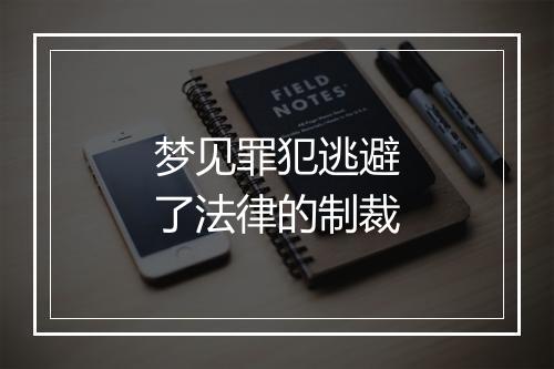 梦见罪犯逃避了法律的制裁