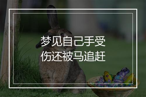 梦见自己手受伤还被马追赶