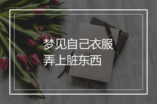 梦见自己衣服弄上脏东西