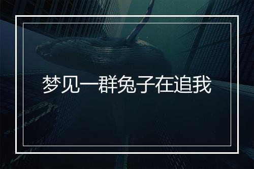 梦见一群兔子在追我