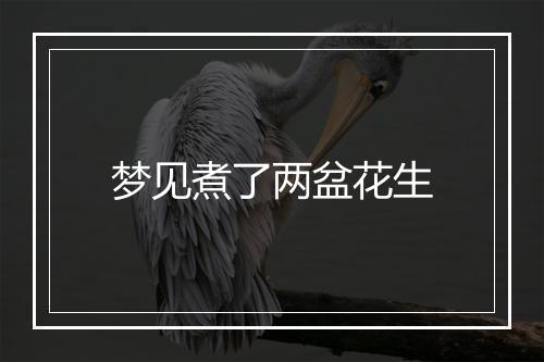 梦见煮了两盆花生