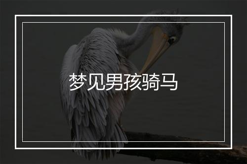 梦见男孩骑马