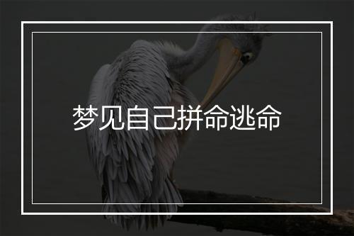 梦见自己拼命逃命