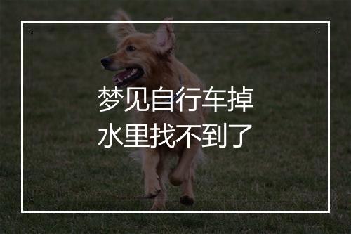 梦见自行车掉水里找不到了