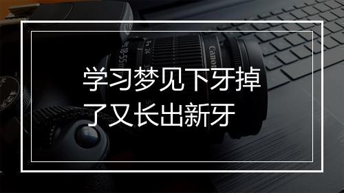 学习梦见下牙掉了又长出新牙