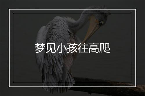 梦见小孩往高爬