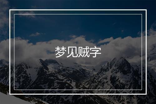 梦见贼字