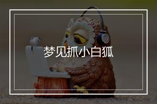 梦见抓小白狐