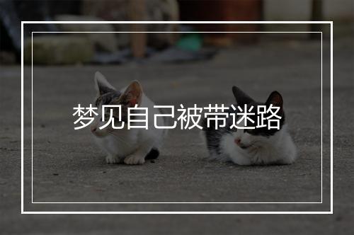 梦见自己被带迷路