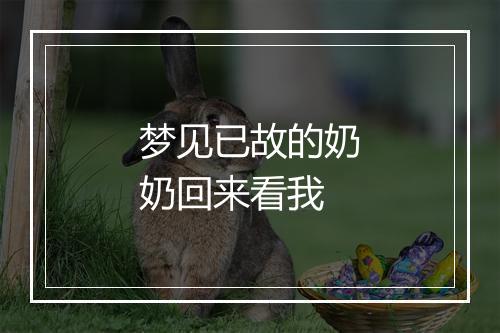 梦见已故的奶奶回来看我