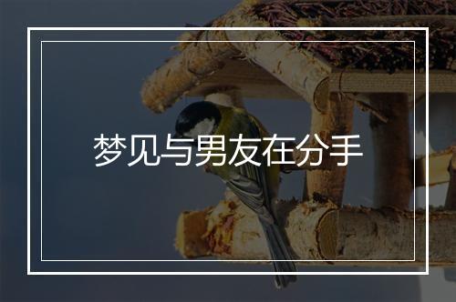 梦见与男友在分手