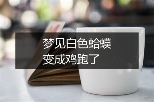 梦见白色蛤蟆变成鸡跑了