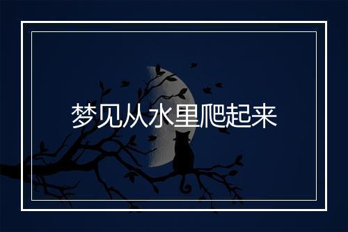 梦见从水里爬起来