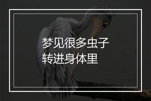 梦见很多虫子转进身体里