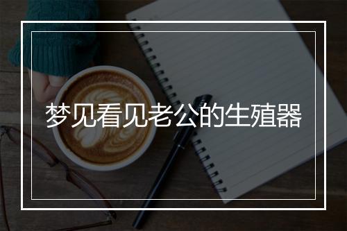 梦见看见老公的生殖器