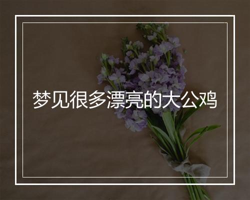 梦见很多漂亮的大公鸡