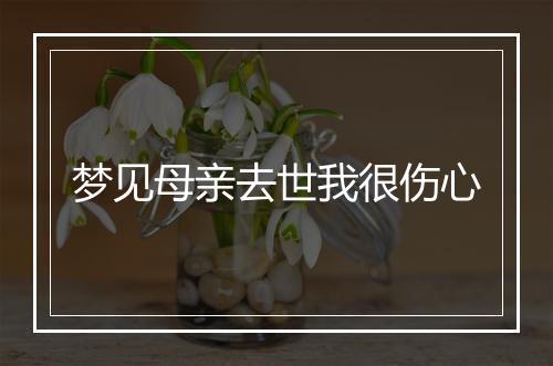 梦见母亲去世我很伤心