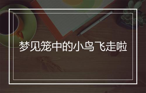 梦见笼中的小鸟飞走啦